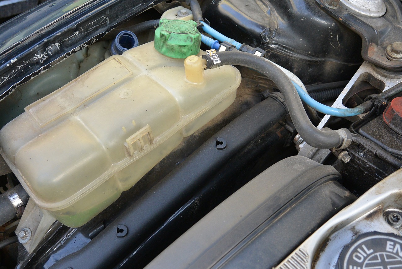 Ako sa zbaviť kuny v motore vášho automobilu?