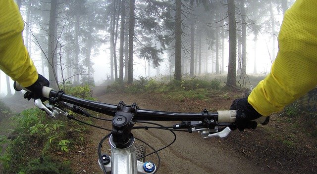Bicyklovanie v lese